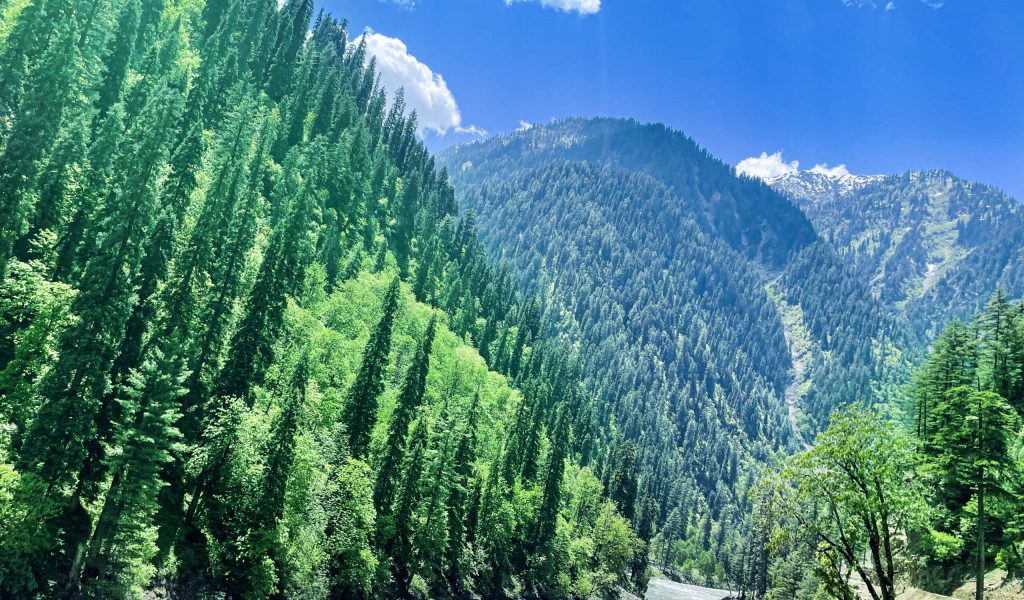 beautiful-view-rice-fields-lush-green-leepa-valley-kashmir-pakistan